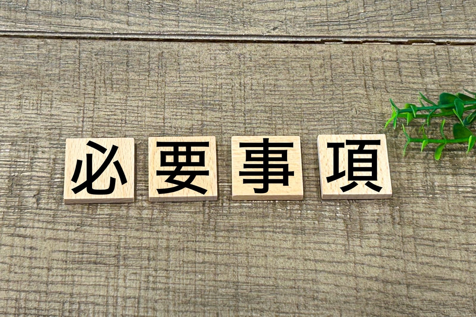 申請前に確認必須!採択率を上げるための4つの申請要件