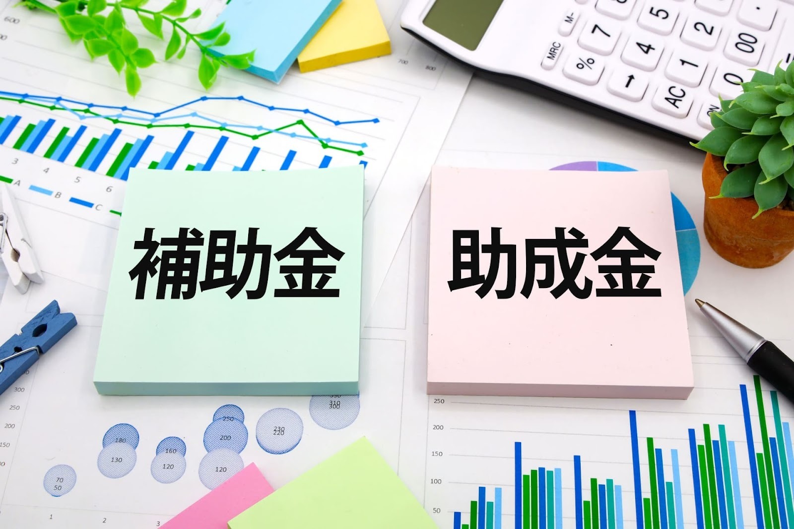 補助金と助成金の違いと申請代行の基本